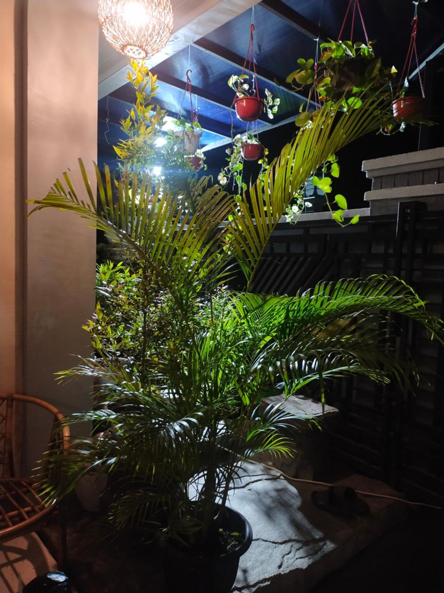 La Geiro Villa Labuan Bajo Luaran gambar